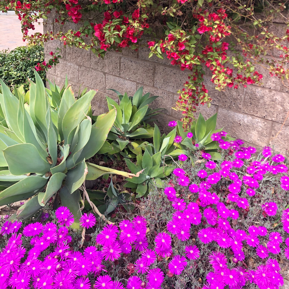 Meet your Posher, Alexandria